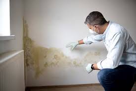 Best Post-Construction Mold Inspection  in Uniondale, NY